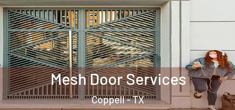 Mesh Door Services Coppell - TX